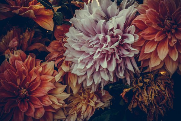 Plafonier salon : des éclairages qui redéfinissent votre espace