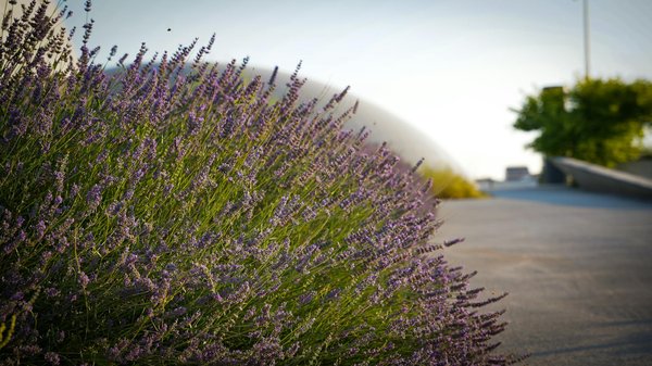 Immobilier locatif au québec : trouvez votre appartement idéal!